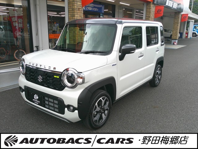 Suzuki Hustler 2