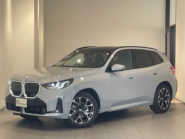 BMW X3 1