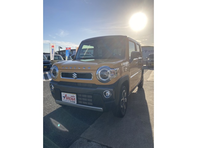 Suzuki Hustler 1