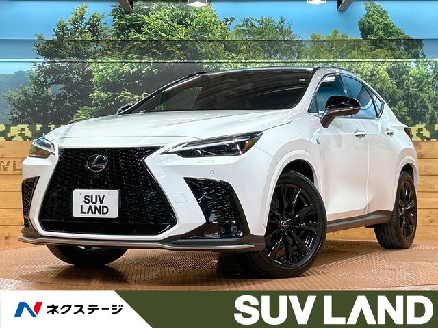 Lexus NX 1