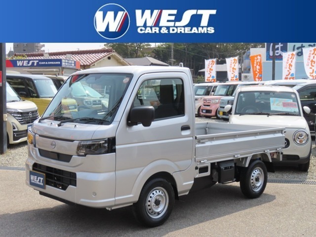 Nissan Clipper Truck 1