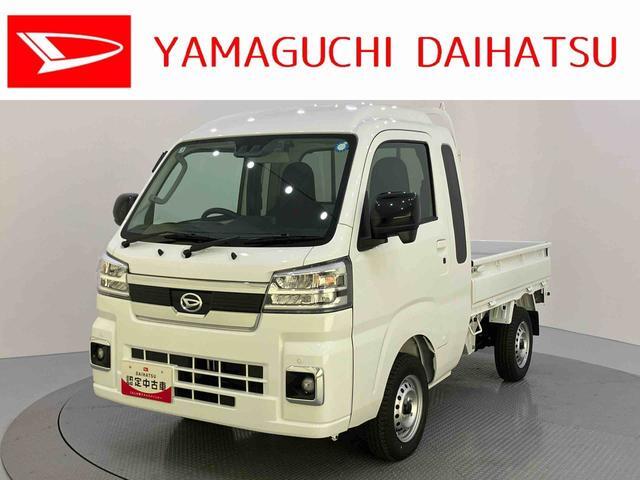 Daihatsu Hijet Truck 1
