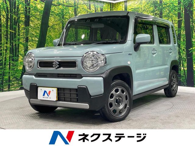 Suzuki Hustler 1