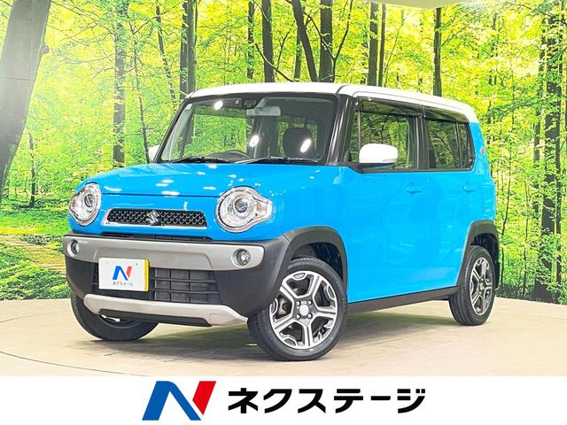 Suzuki Hustler 1