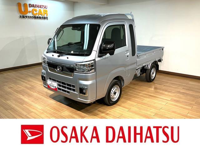Daihatsu Hijet Truck 1