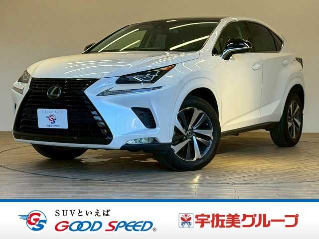 Lexus NX 1
