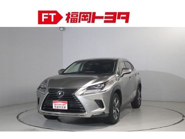 Lexus NX 1