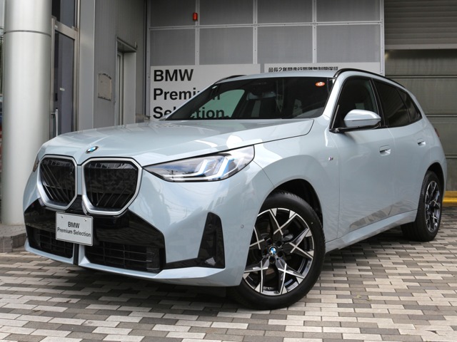 2025 BMW X3