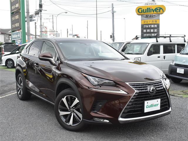 Lexus NX 1