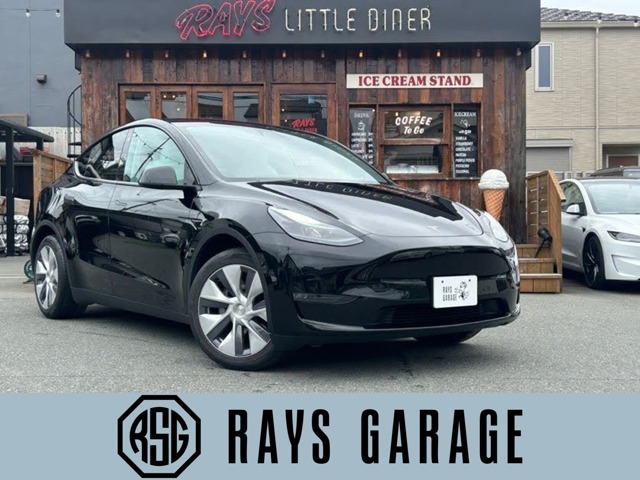 Tesla Model Y 1