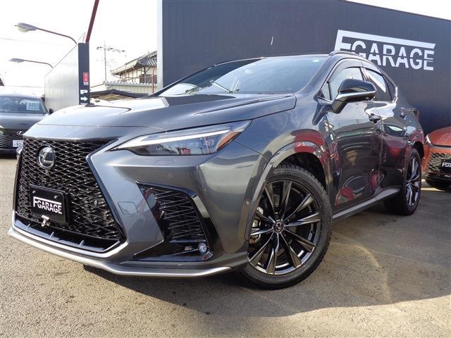 Lexus NX 1