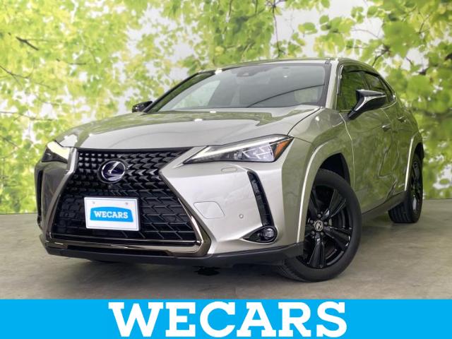 2021 Lexus UX