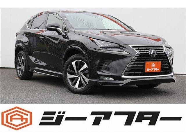 2021 Lexus NX