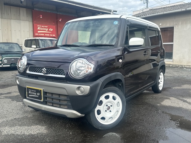Suzuki Hustler 1