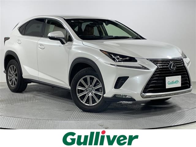 2019 Lexus NX