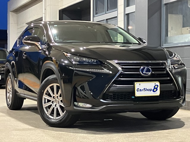 Lexus NX 1