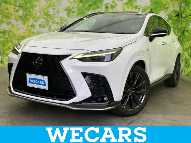 Lexus NX 1