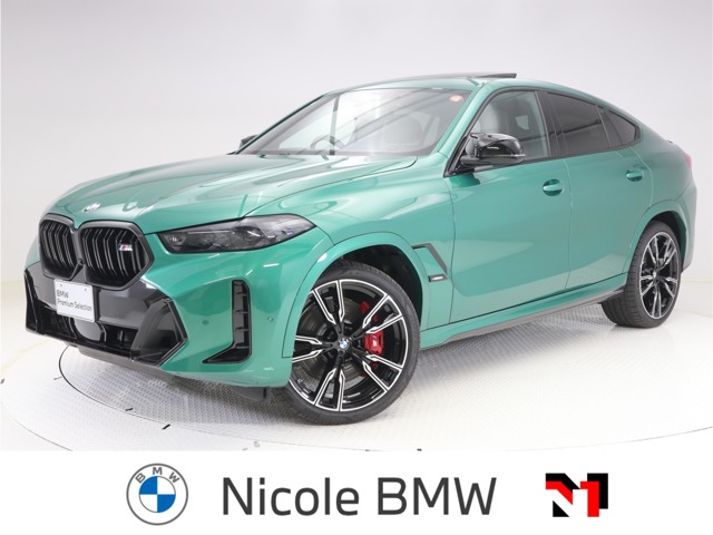 BMW X6 1