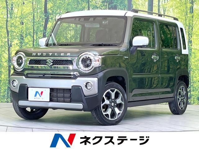 Suzuki Hustler 1