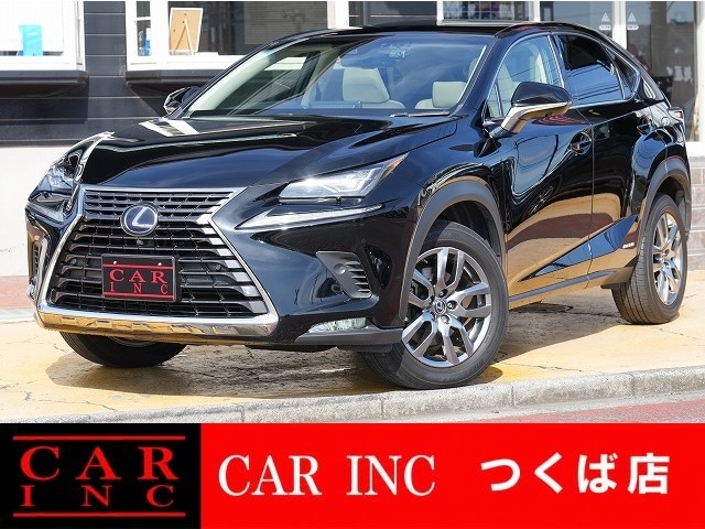 2018 Lexus NX