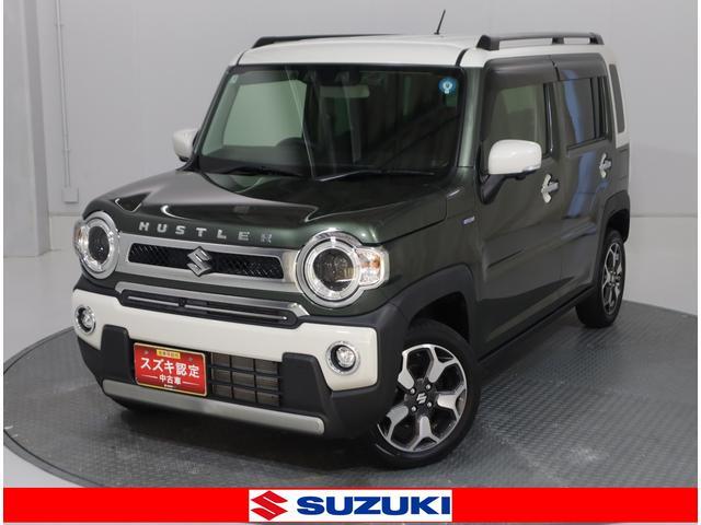 Suzuki Hustler 1