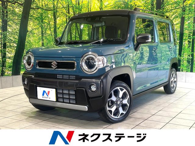 Suzuki Hustler 1