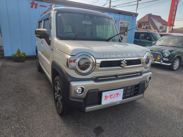 Suzuki Hustler 1