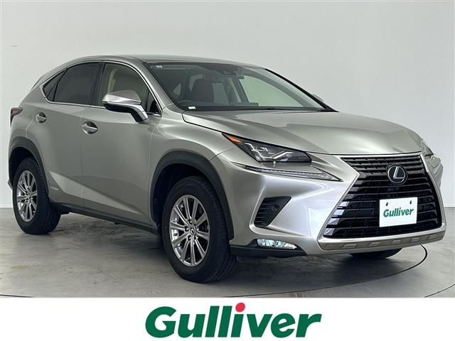 2019 Lexus NX