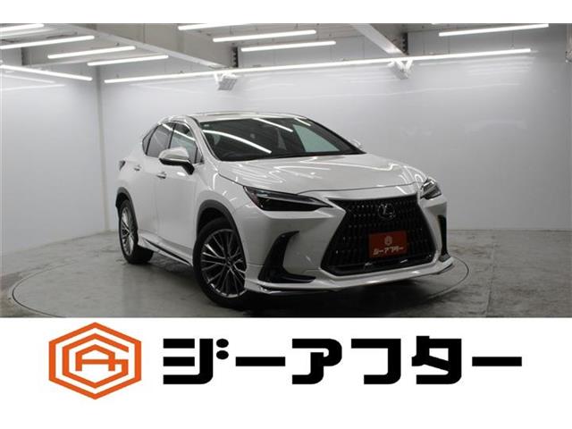 Lexus NX 1