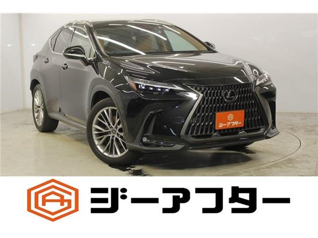 Lexus NX 1