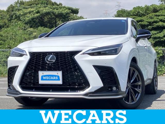 Lexus NX 1