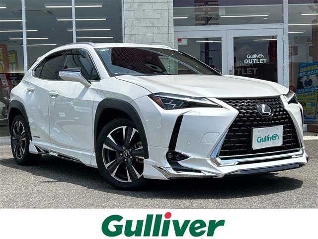 2019 Lexus UX