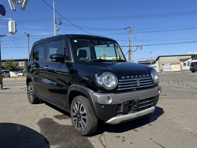 Suzuki Hustler 1