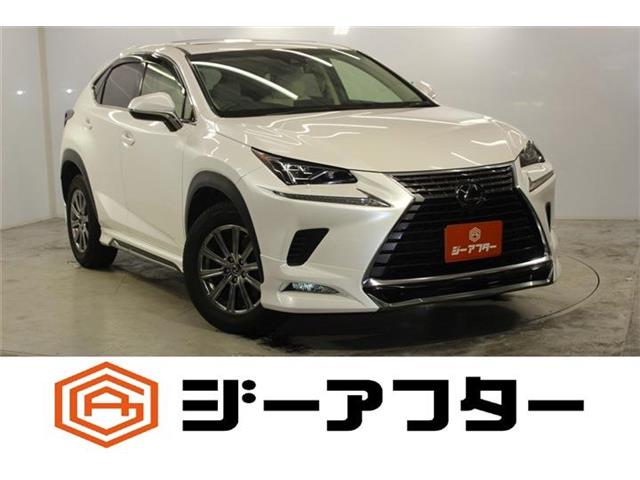 Lexus NX 1