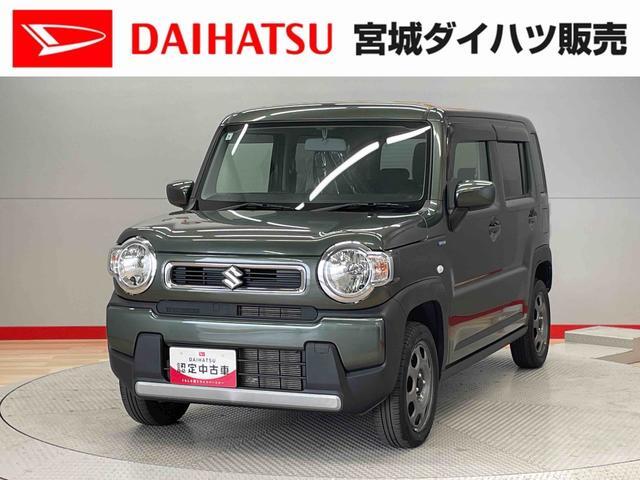 Suzuki Hustler 1