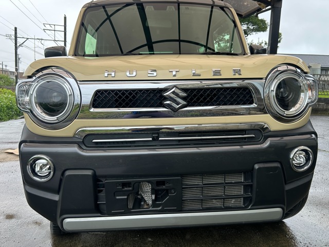 Suzuki Hustler 1