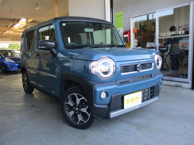 Suzuki Hustler 1