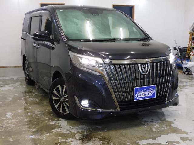 2019 Toyota Esquire