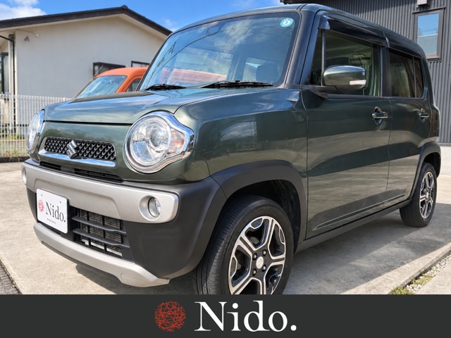 Suzuki Hustler 1