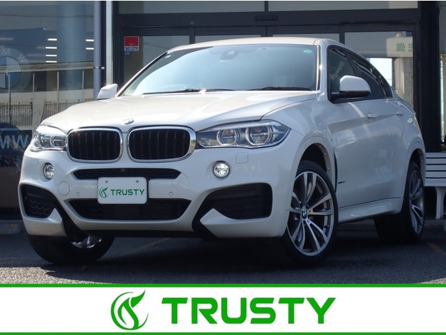 BMW X6 1