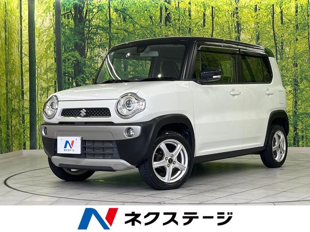 Suzuki Hustler 1