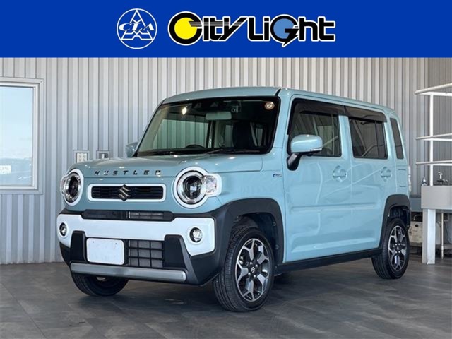 Suzuki Hustler 1