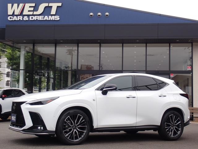 Lexus NX 1