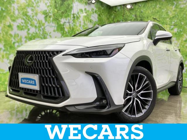 Lexus NX 1