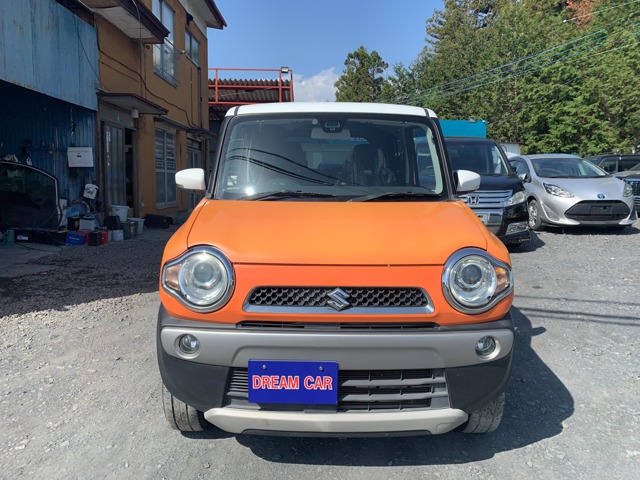 Suzuki Hustler 1