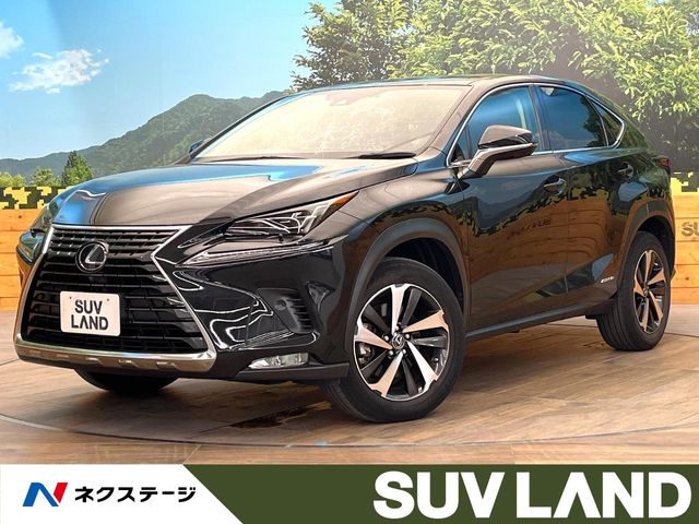 Lexus NX 1