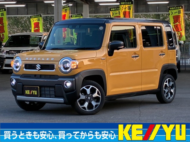 2025 Suzuki Hustler