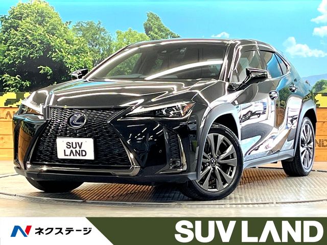 2019 Lexus UX