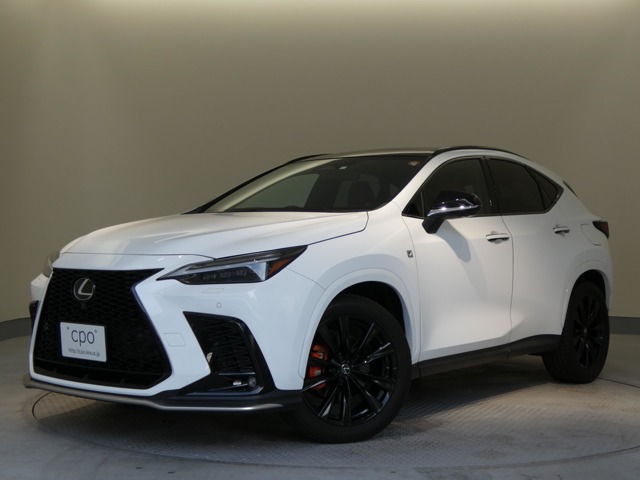 Lexus NX 1