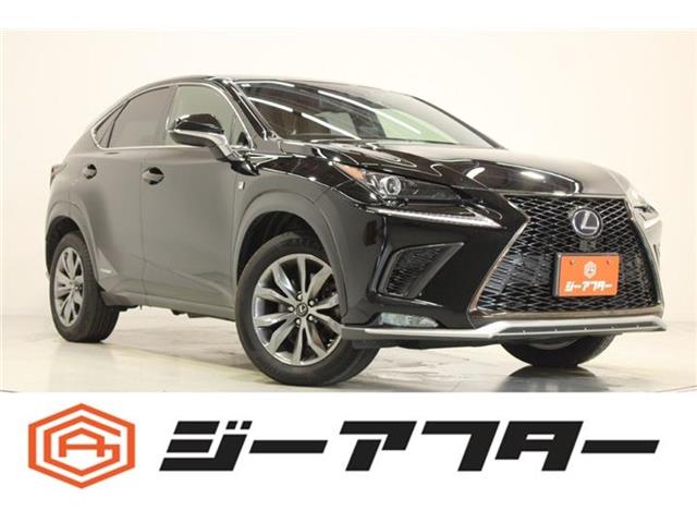 Lexus NX 1